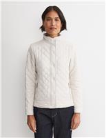 Quilted Sports Jacket