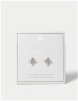 Platinum Plated Cubic Zirconia Birthstone Earrings