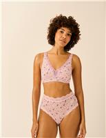 Stripe & Stare 4pk Modal Rich Full Briefs Purple Mix