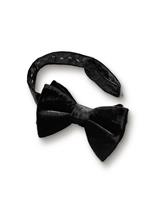 Bow Tie with Silk