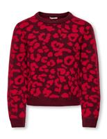 Leopard Print Jumper (7-14 Yrs)