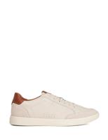 Leather Lace-up Cupsole Trainers
