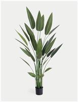 Artificial 6ft Heliconia Exotic Plant