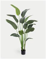 6ft Artificial Strelitzia Plant