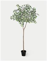 Artificial 5ft Ficus Topping Tree