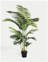 6ft Artificial Indoor Paradise Palm