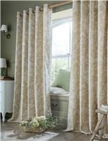 Lloyd Pure Cotton Eyelet Curtains