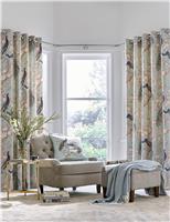 Belvedere Pure Cotton Eyelet Curtains