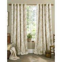 Laura Ashley Pussy Willow Eyelet Curtains Yellow Mix