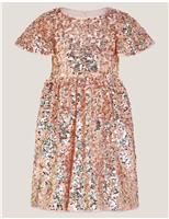 Sequin Tulle Angel Sleeve Party Dress (3-13 Yrs)