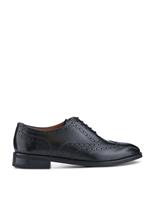 Leather Brogues