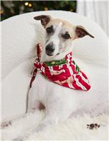Patterned Pet Neckerchief