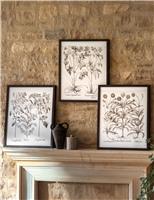 Set of 3 Evergreen Framed Art