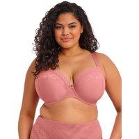 Elomi Nerina Mesh Lace Wired Plunge Bra (DD-JJ) Dusky Rose