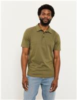 2 Pack Pure Cotton Polo Shirts