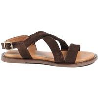 Jones Bootmaker Wide Fit Suede Buckle Flat Sandals Chocolate