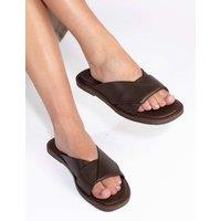 Jones Bootmaker Leather Flat Mules Chocolate