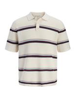 Pure Cotton Striped Knitted Polo Shirt