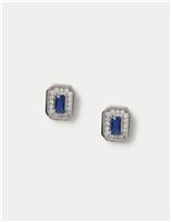 Platinum Plated Rectangle Earrings