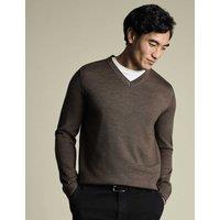 Charles Tyrwhitt Pure Merino Wool V-Neck Jumper Brown
