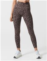 Becca Animal Print High Waisted Leggings
