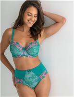 Sofia Lace Embroidered Full Briefs