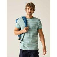 Regatta Benlin Pure Cotton Striped T-Shirt Green