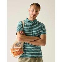 Regatta Tiver Pure Cotton Striped Polo Shirt Green