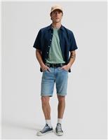 Pure Cotton Crew Neck T-Shirt