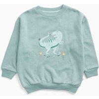 Watchshop Cotton Blend Dinosaur Sweatshirt (3 Mths-6 Yrs) Green