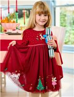 Christmas Appliqu Tulle Party Dress (6 Mths-7 Yrs)