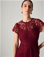 Lace Round Neck Maxi Skater Dress