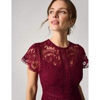 Monsoon Lace Midi Waisted Dress Burgundy