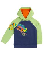 Pure Cotton Chameleon Appliqu Hoodie (2-12 Yrs)