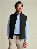 Charles Tyrwhitt Lightweight Quilted Padded Gilet Grey