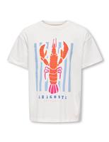 Pure Cotton Lobster T-Shirt (7-14 Yrs)