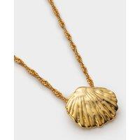 Katie Loxton Gold Plated Shell Necklace Gold