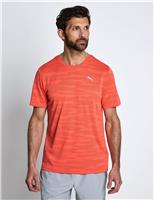 Puma Powertrain Jacquard T-Shirt Magenta