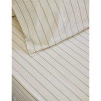 Piglet In Bed Pure Cotton Striped Fitted Sheet Green Mix