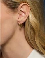 2 Pack Brass Knot Hoop and Studs Earrings