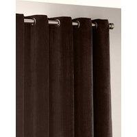 YARD Chenille Velvet Eyelet Curtains Dark Brown
