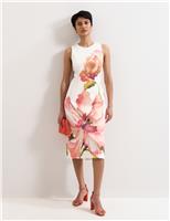Phase Eight Cotton Rich Floral Midi Column Dress Cream Mix