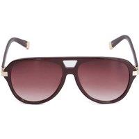 Dune London Aviator Sunglasses Brown