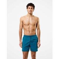 Speedo Swim Shorts Teal