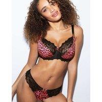 Freya Cherish Me Leopard print Lace Thong Pink Mix