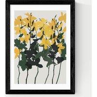 East End Prints Orchids 7 Framed Art Print Black