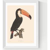 East End Prints Toucan by Aster Framed Art White