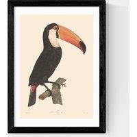 East End Prints Toucan by Aster Framed Art Black