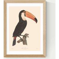 East End Prints Toucan by Aster Framed Art Natural