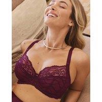Fantasie Cesile Wired Plunge Bra D-J Burgundy